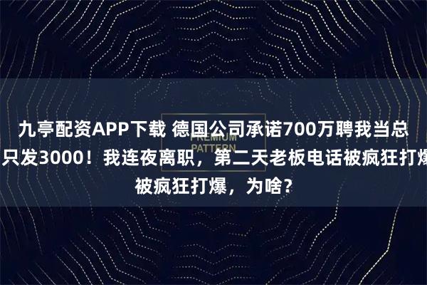 九亭配资APP下载 德国公司承诺700万聘我当总监，首月只发3000！我连夜离职，第二天老板电话被疯狂打爆，为啥？