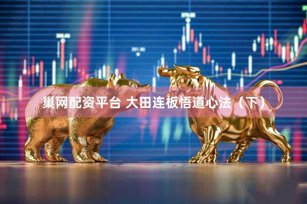 巢网配资平台 大田连板悟道心法（下）
