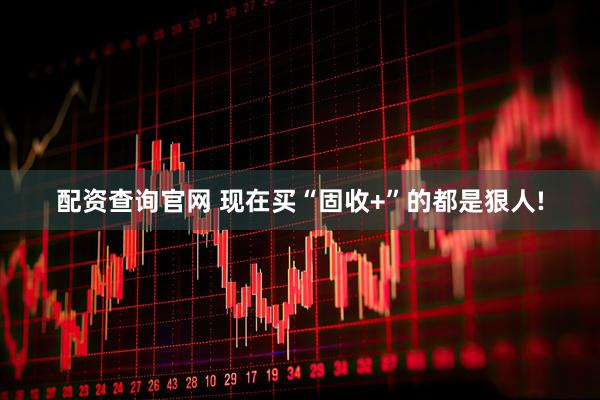 配资查询官网 现在买“固收+”的都是狠人!