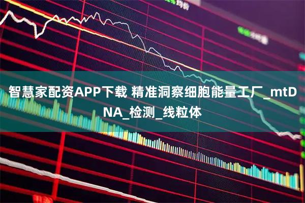 智慧家配资APP下载 精准洞察细胞能量工厂_mtDNA_检测_线粒体